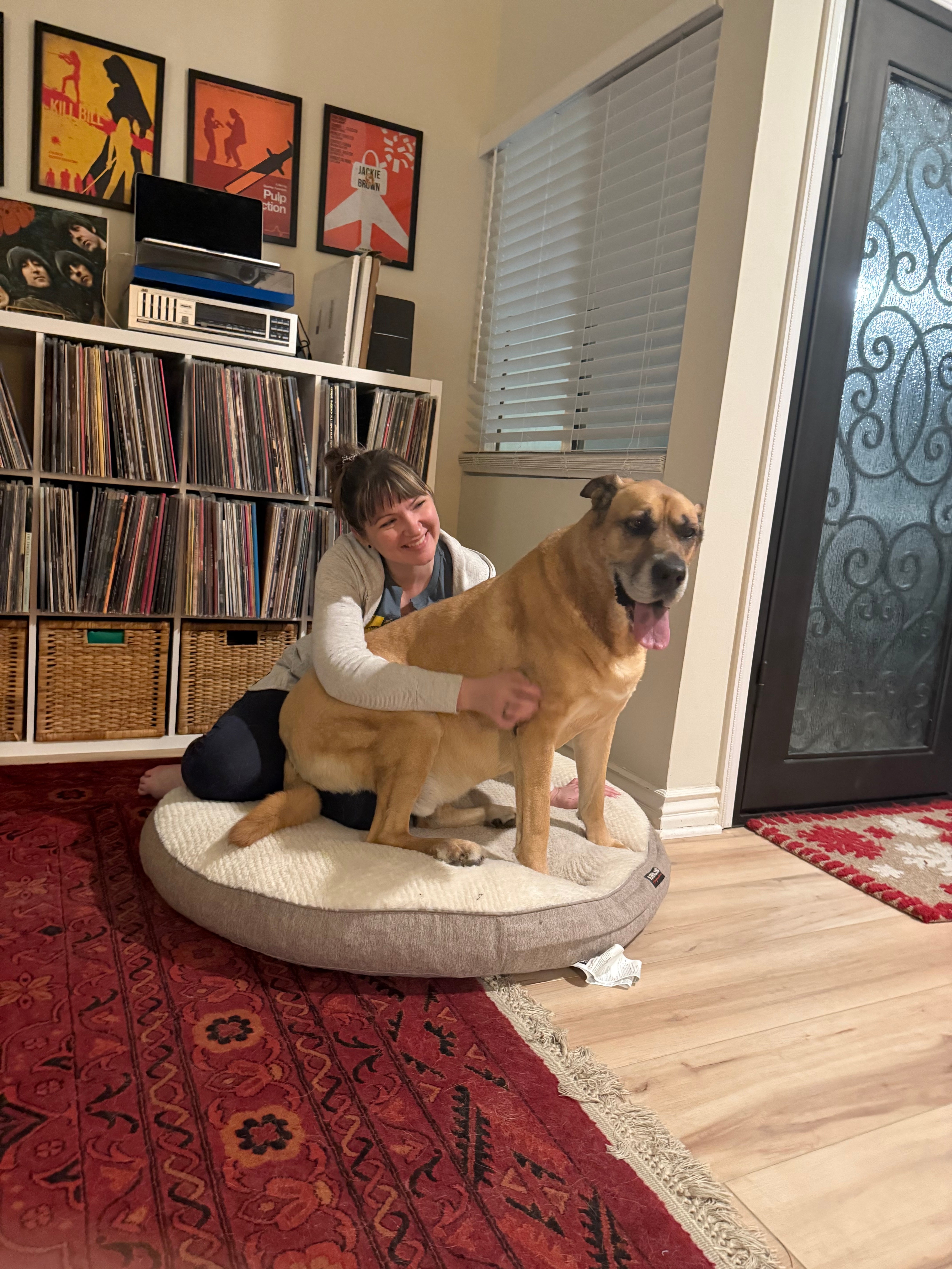 A woman sits on her dog's bed while her huge dog sits on her lap