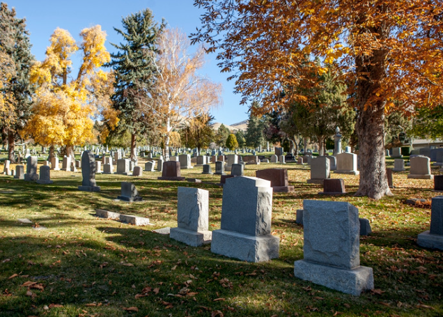 A view of gravestones with fall foliage behind them